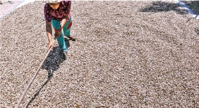 FARMERS DEVELOPMENT - 1