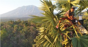 FARMERS DEVELOPMENT - 0