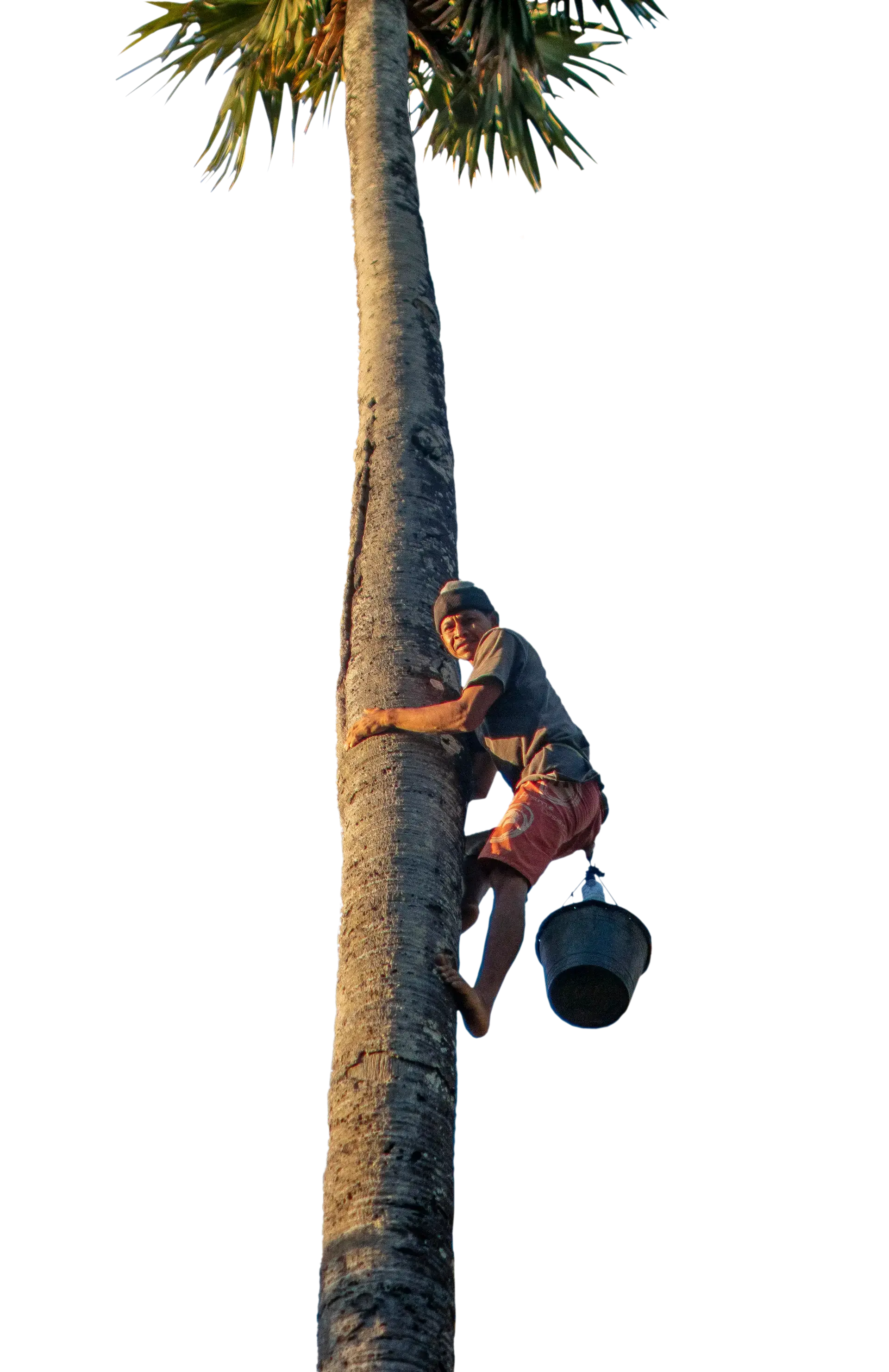 Genuine Indonesia Ingredients